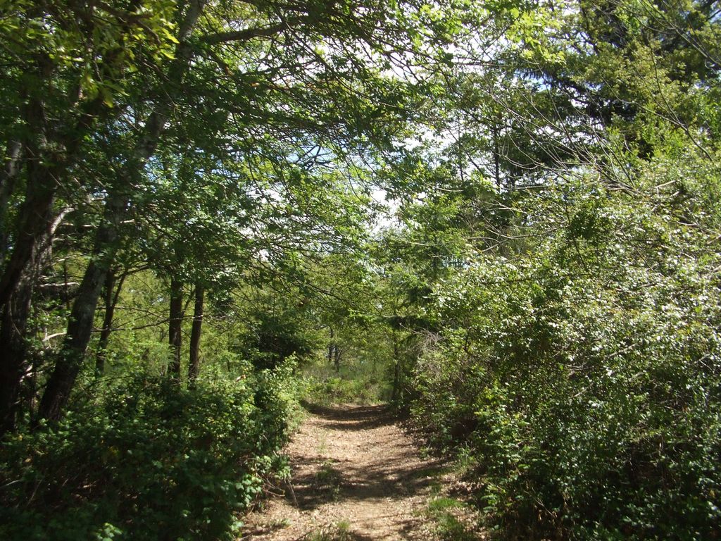 Photo №2 of Monte Camurcina