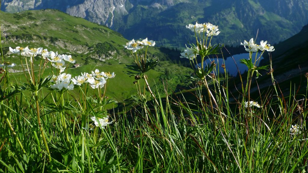 Photo №2 of Zeigersattel