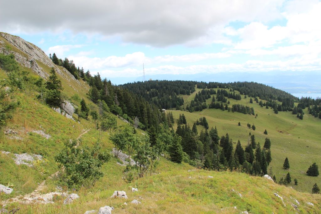 Col de Porte