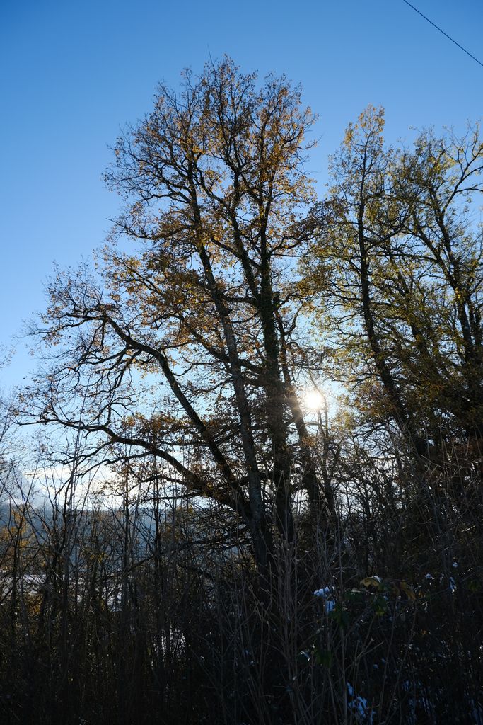 Photo №2 of Crêt du Fier