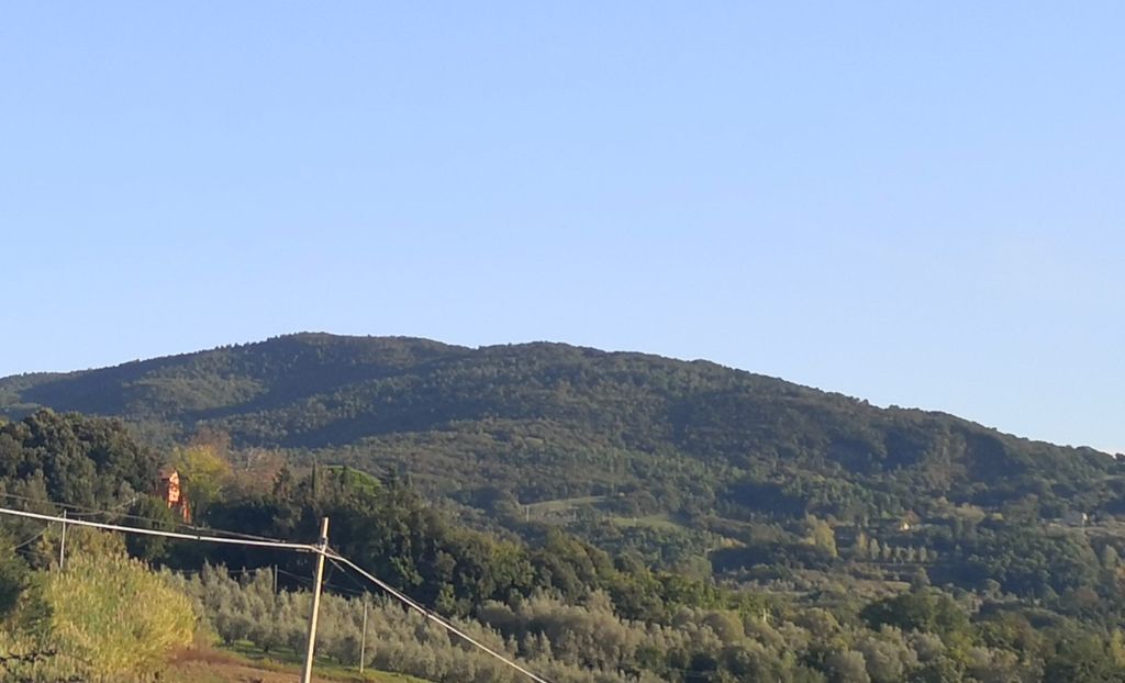 Photo №3 of Poggio Pianacce