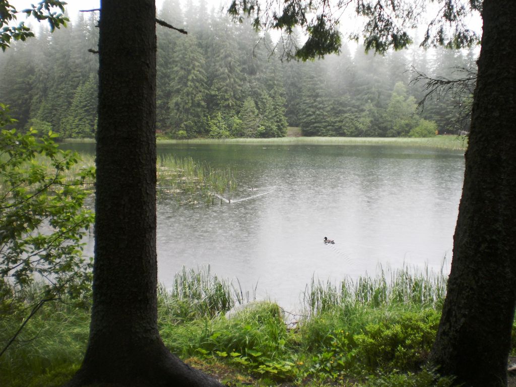 Photo №4 of Vrbické pleso