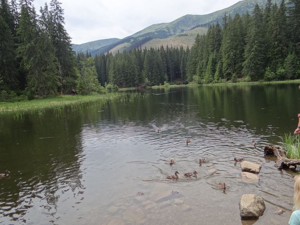 Photo №2 of Vrbické pleso