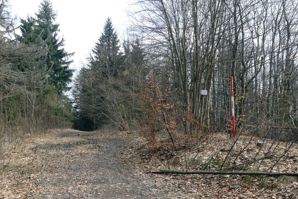 Photo №1 of Stolečný