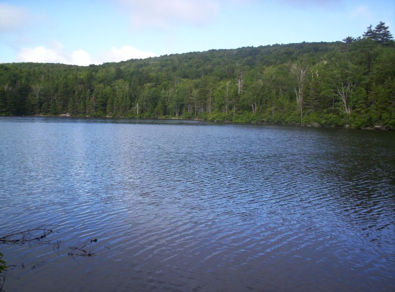Griffith Lake