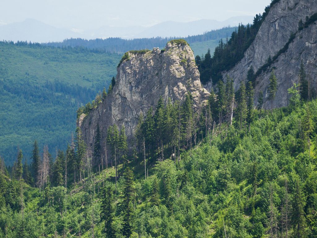 Photo №3 of Kôň