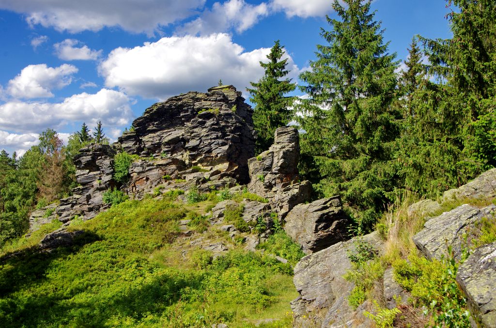 Photo №4 of Zobák