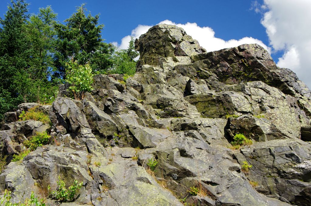 Photo №3 of Zobák
