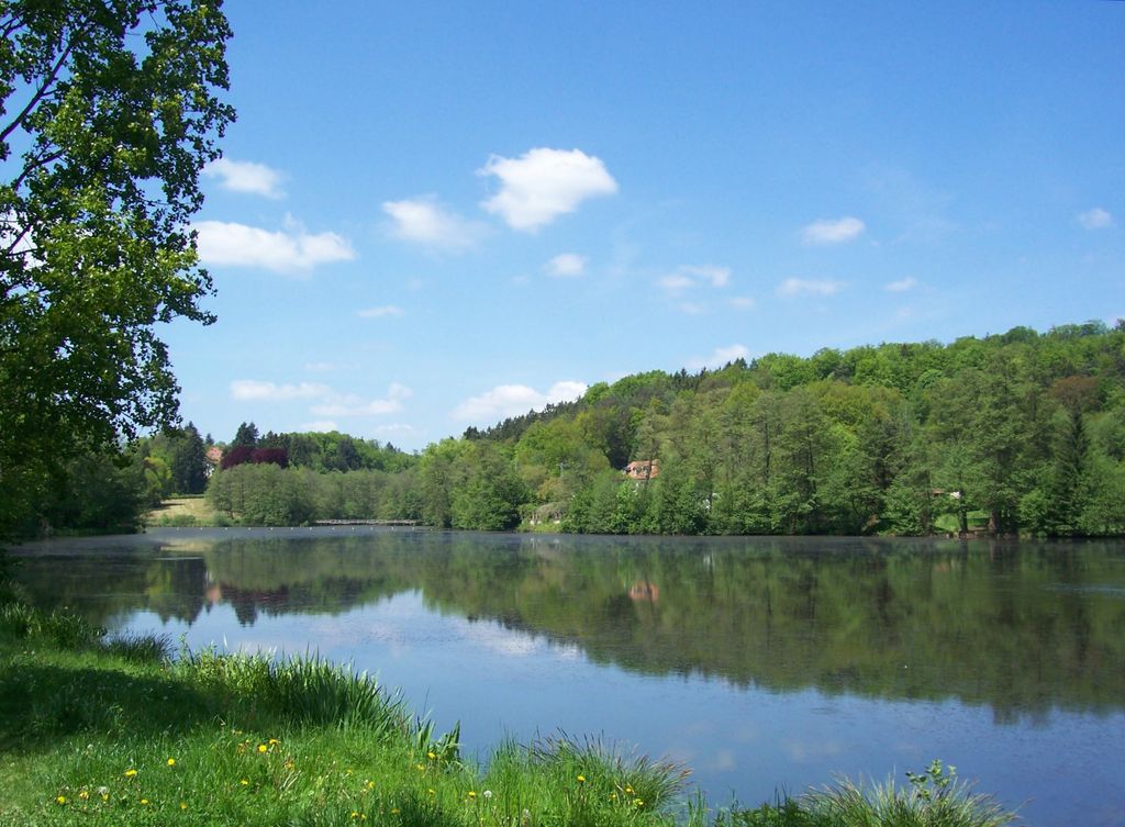 Niederwürzbacher Weiher