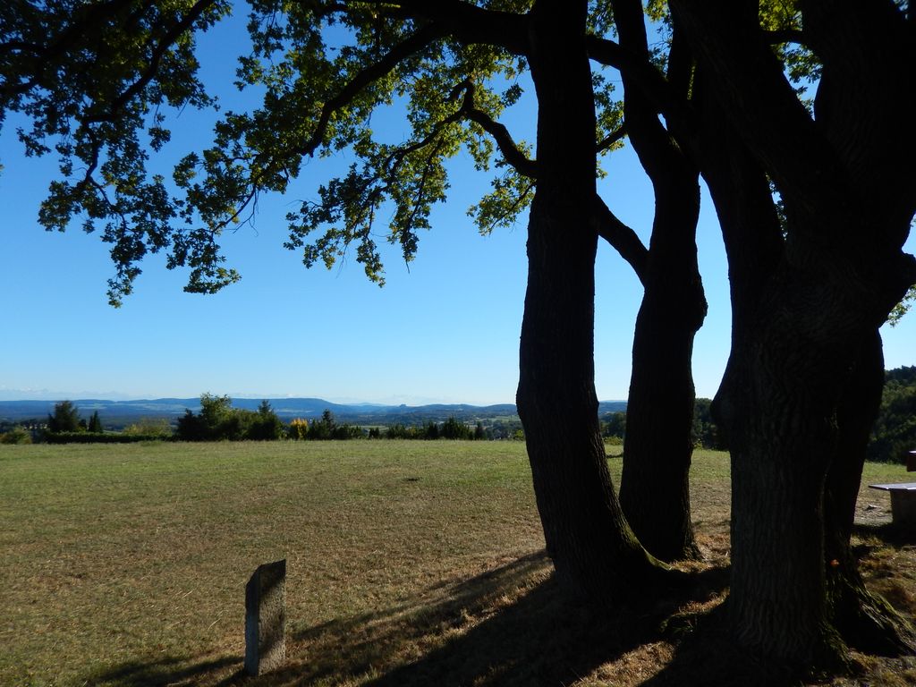 Photo №4 of Galgenbuck