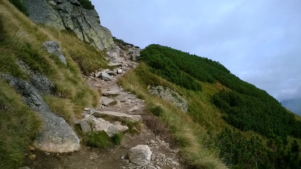 Photo №11 of Kondratova kopa / Kopa Kondracka