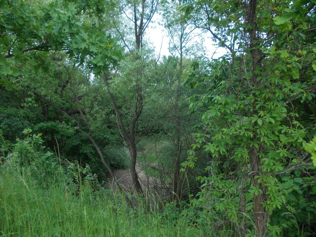 Photo №3 of Wachtelberg