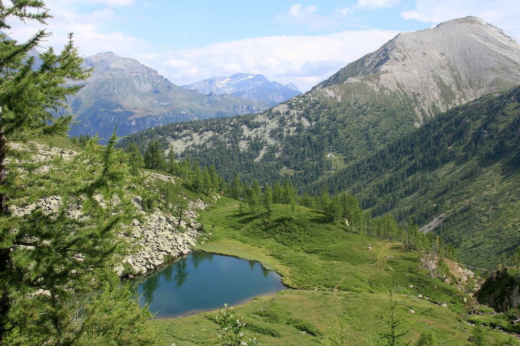 Photo №2 of Wairasee