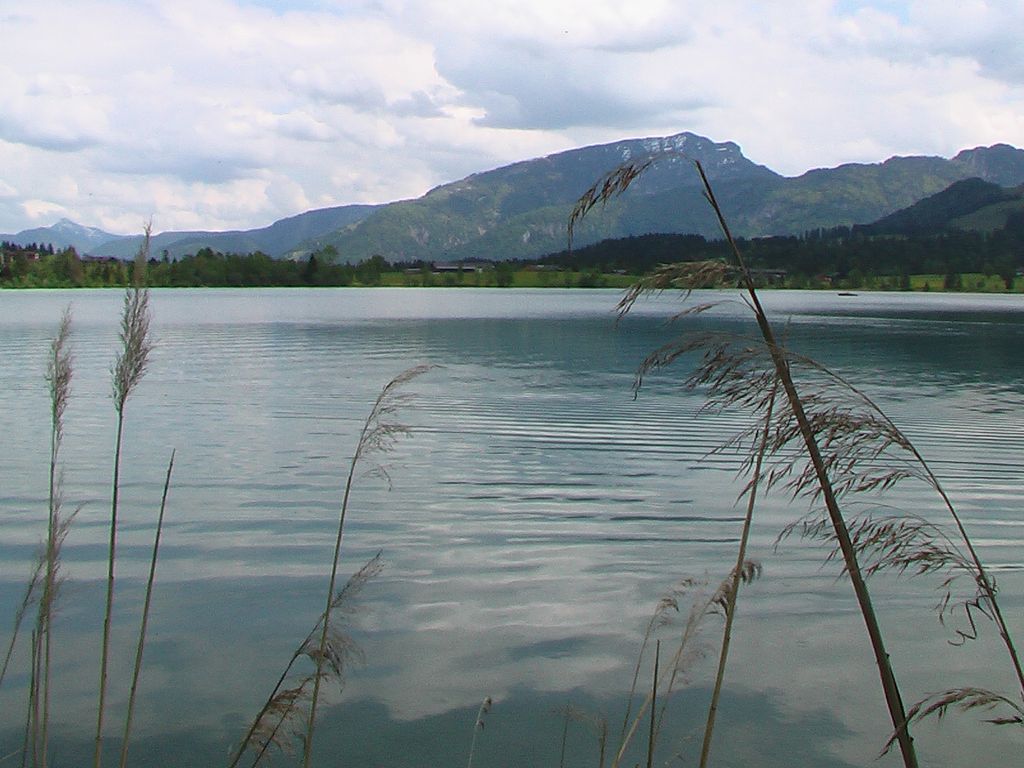 Photo №2 of Walchsee
