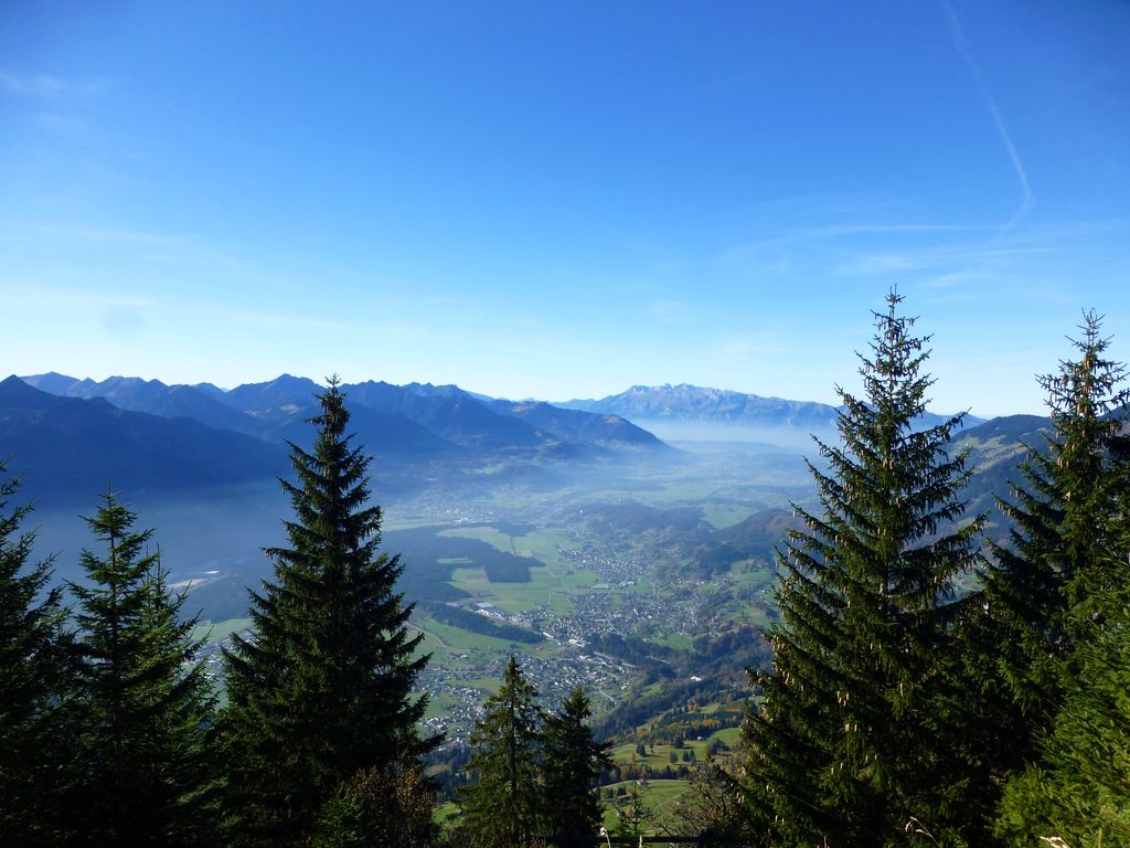 Photo №3 of Nitzkopf