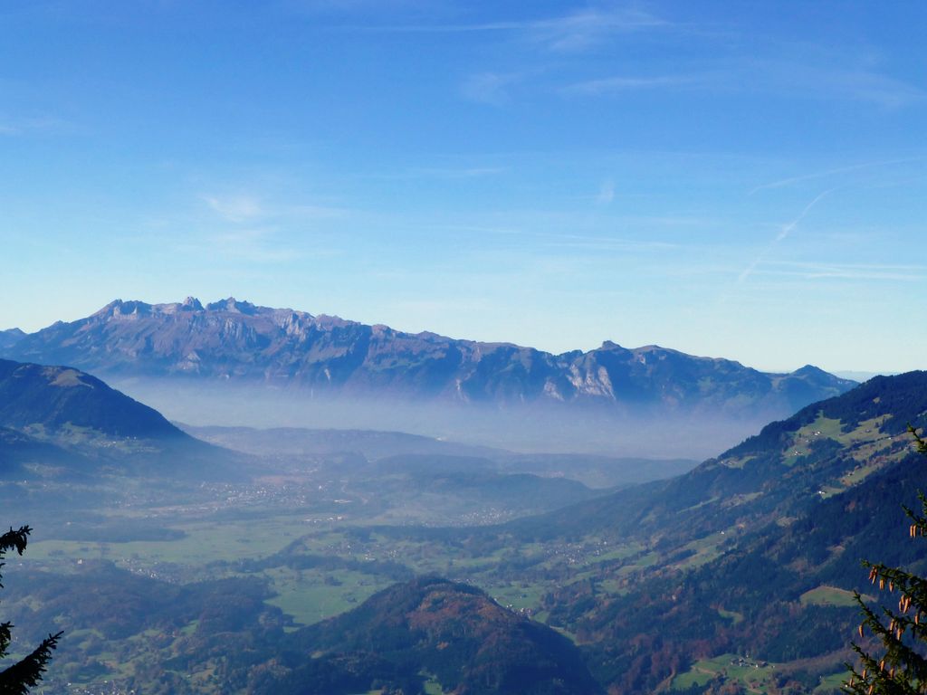 Photo №2 of Nitzkopf