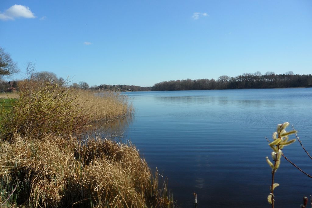 Wardersee
