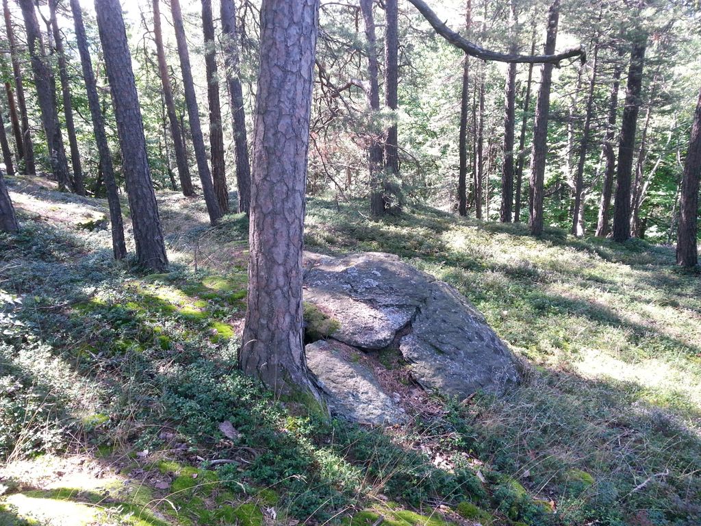 Photo №4 of Wartenstein