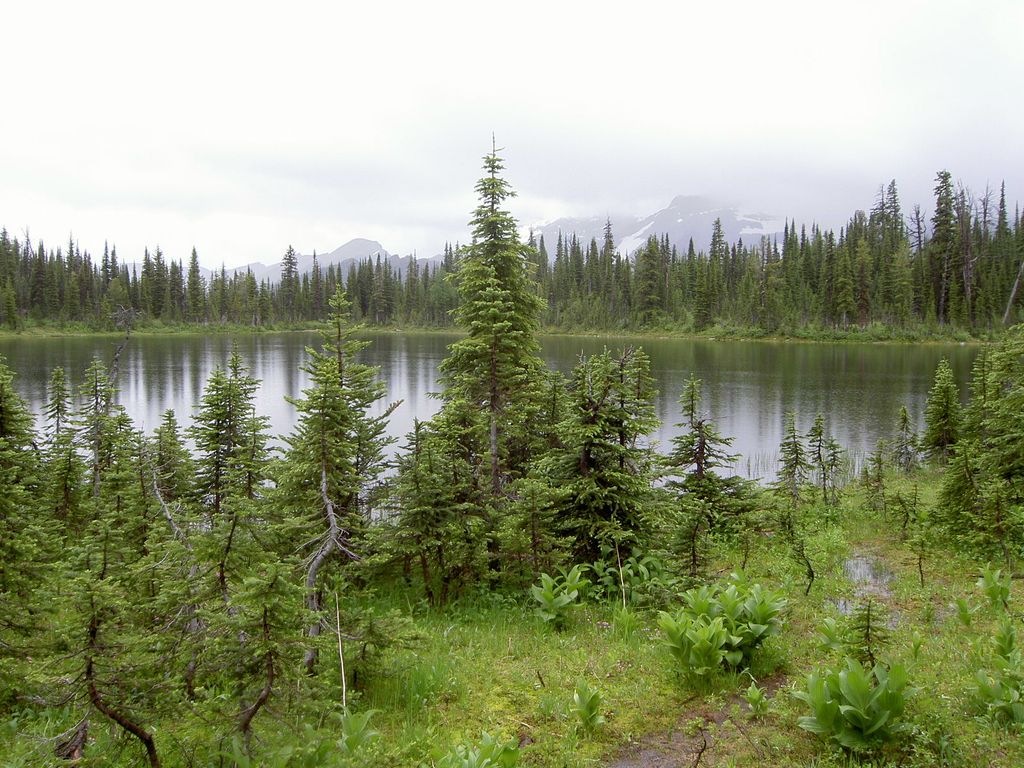 Summit Lake