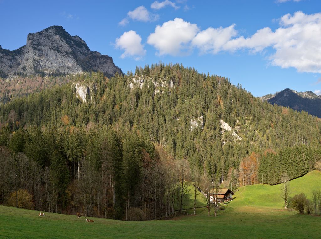 Photo №2 of Wartstein