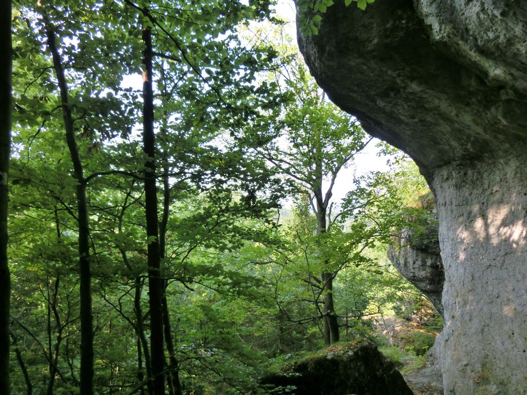 Photo №2 of Glocke