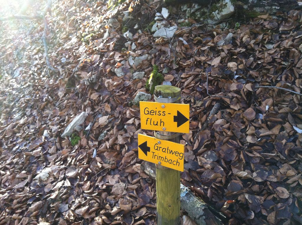 Photo №11 of Geissflue