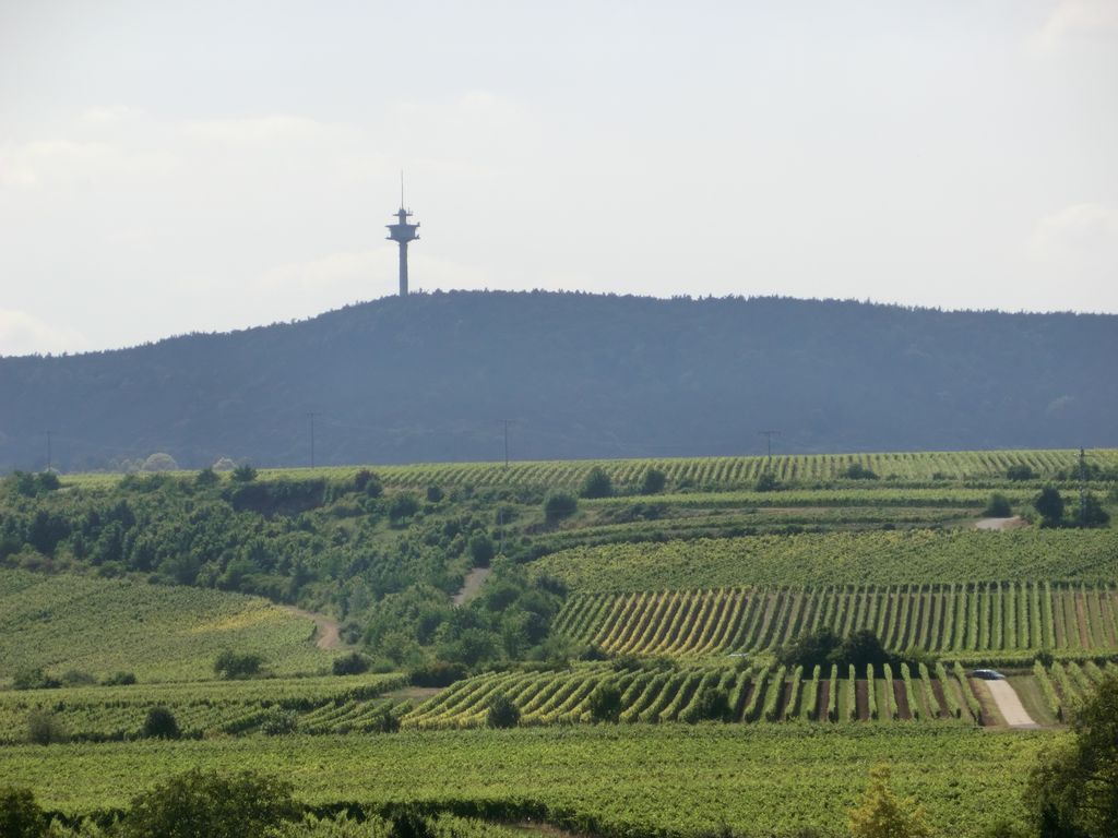 Photo №3 of Weilerskopf