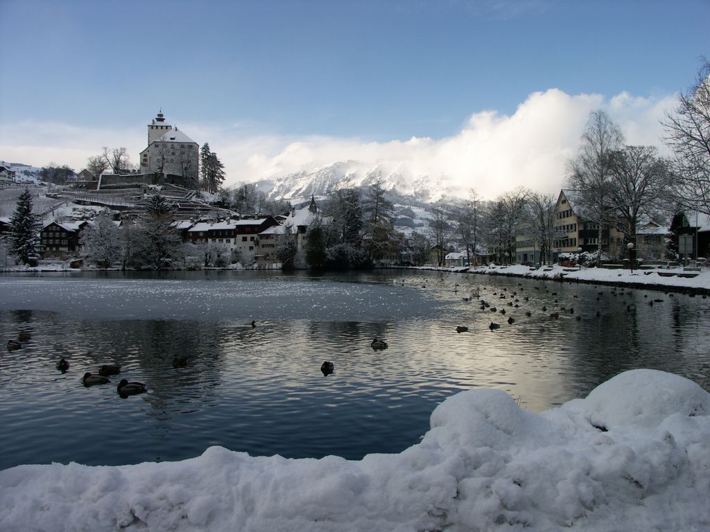 Photo №2 of Werdenberger See