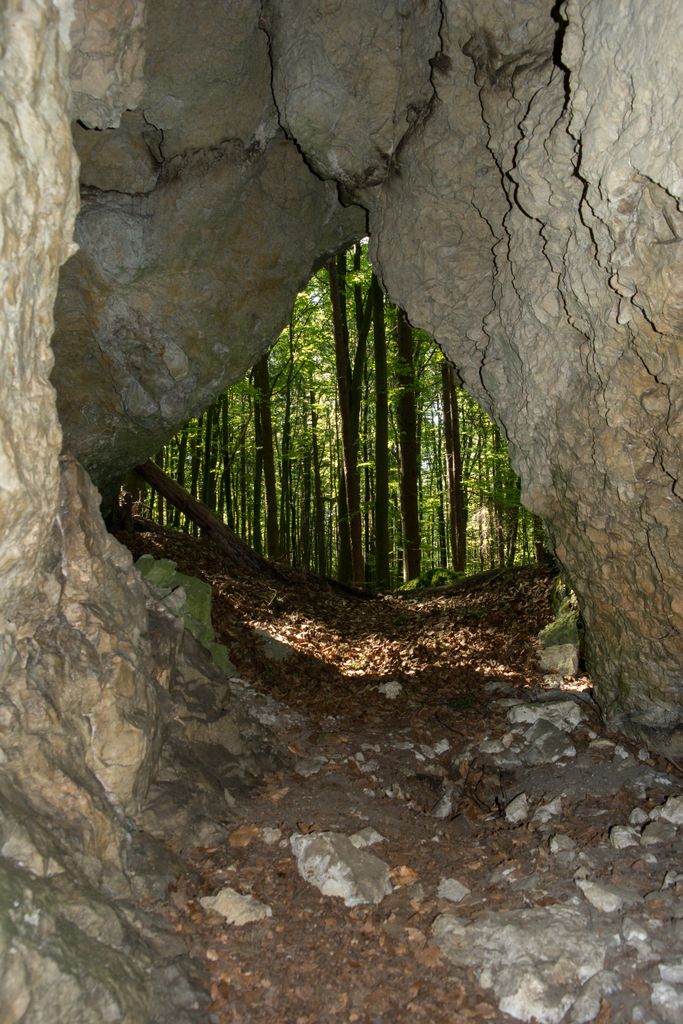 Photo №9 of Buchenberg
