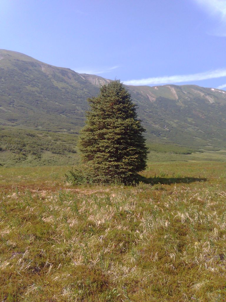 Photo №2 of Turnagain Pass