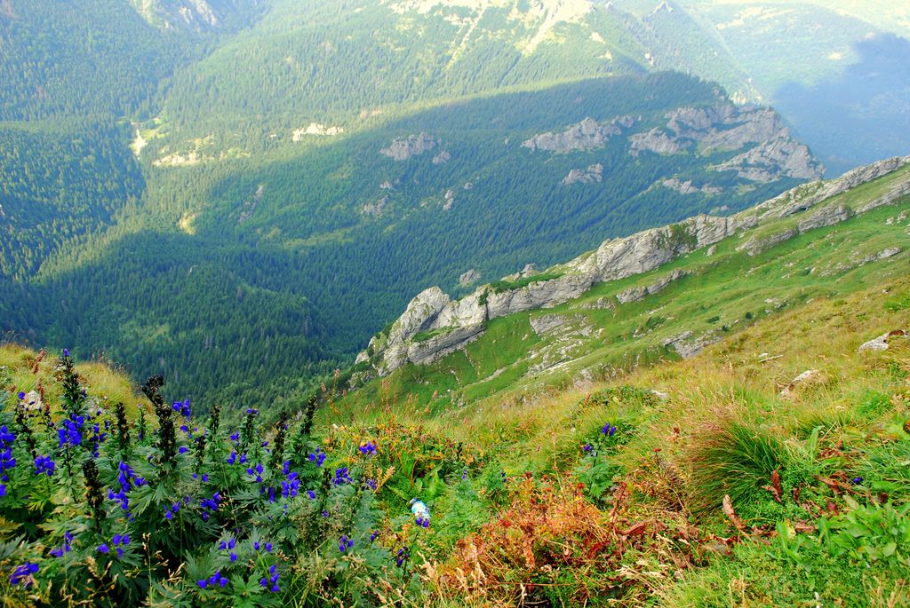 Photo №7 of Wyżnia Kondracka Przełęcz
