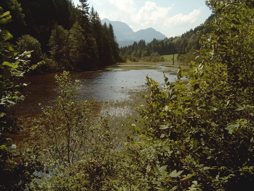 Photo №2 of Wiesensee