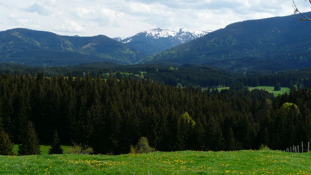 Photo №5 of Pürschling