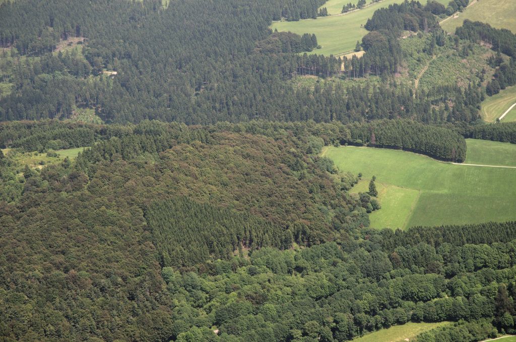 Photo №2 of Orenberg Kreuz
