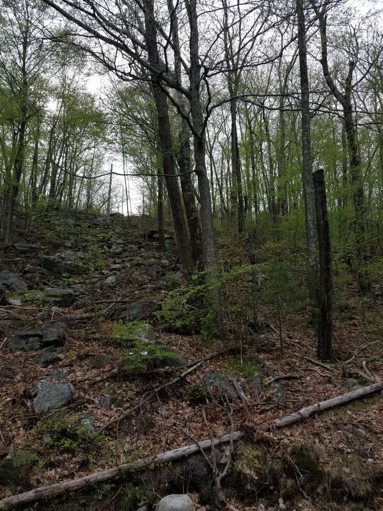 Photo №1 of Woonsocket Hill