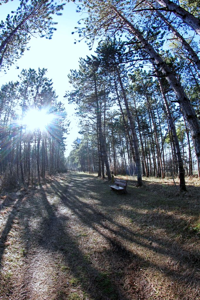 Photo №2 of Klien