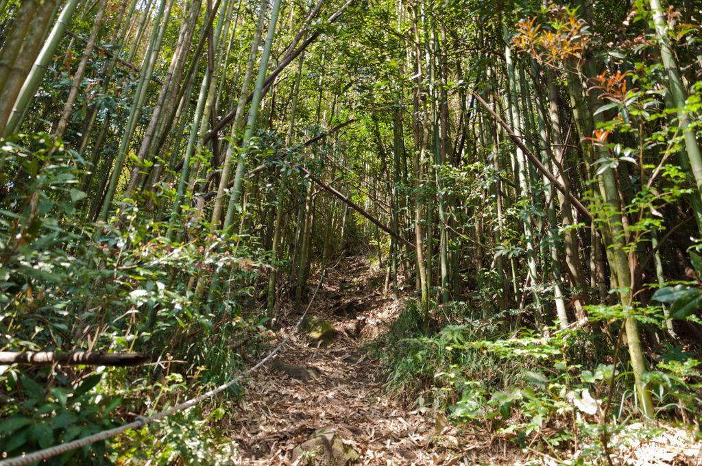 Photo №3 of Niaozuishan