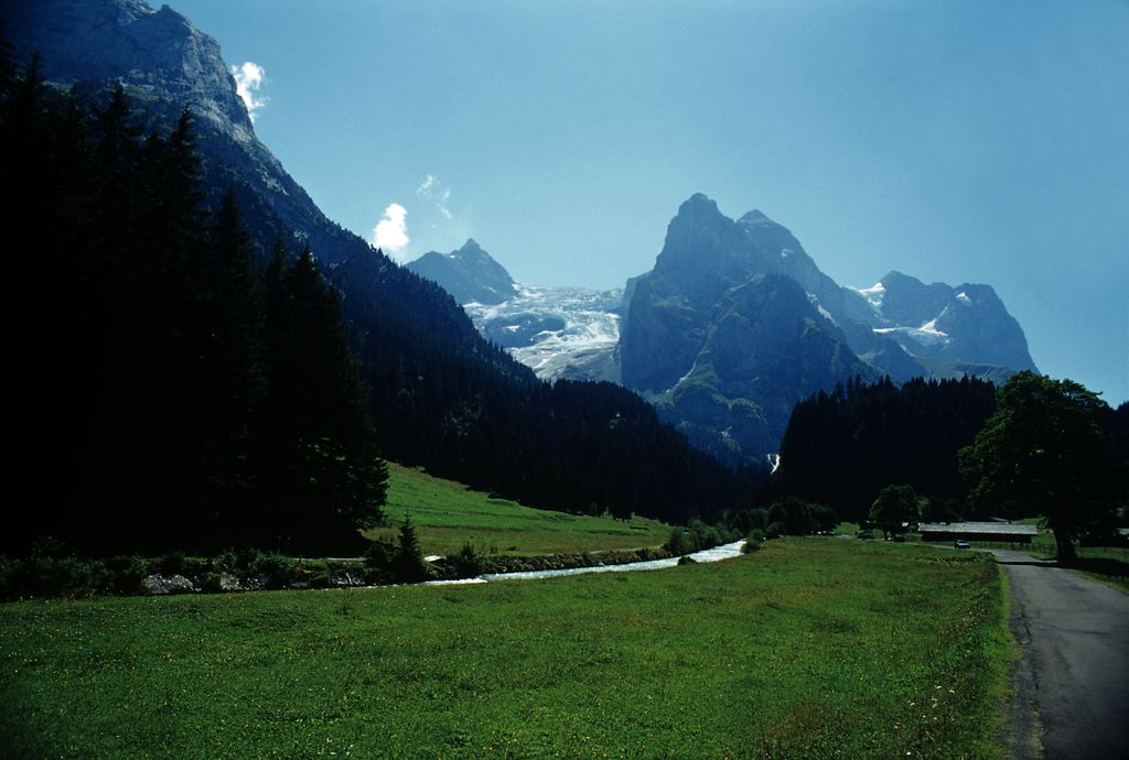 Photo №2 of Wellhorn