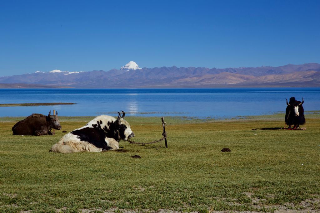 Photo №4 of Lake Manasarovar