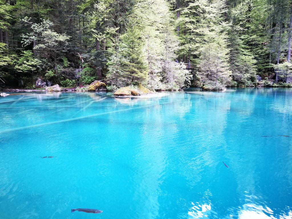 Photo №9 of Blausee