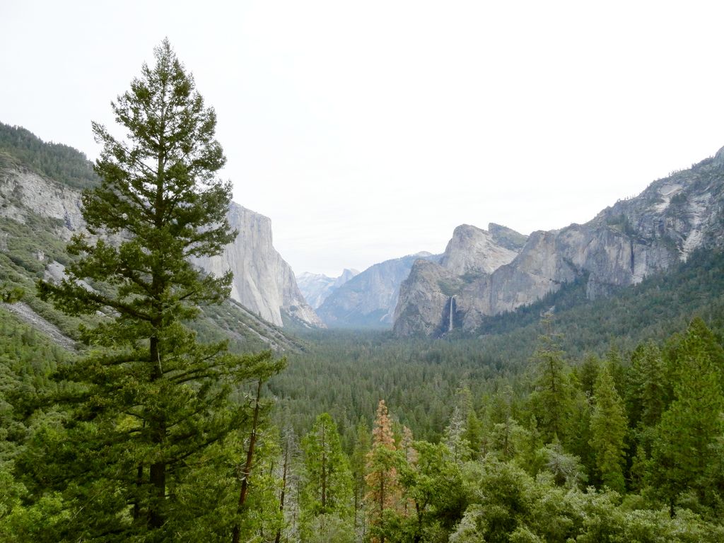 Photo №11 of Tunnel View