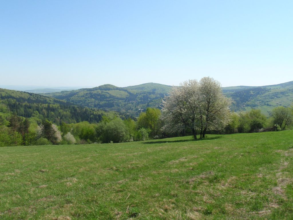 Photo №2 of Zamczyska