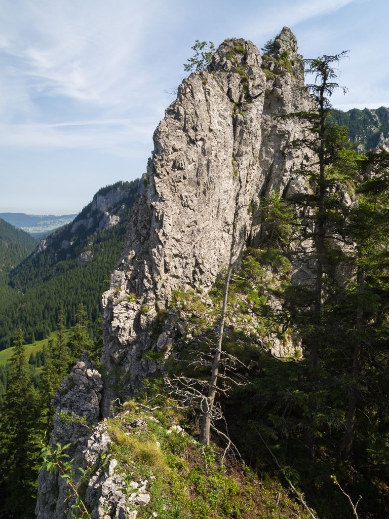 Photo №2 of Zbójnicka Igła