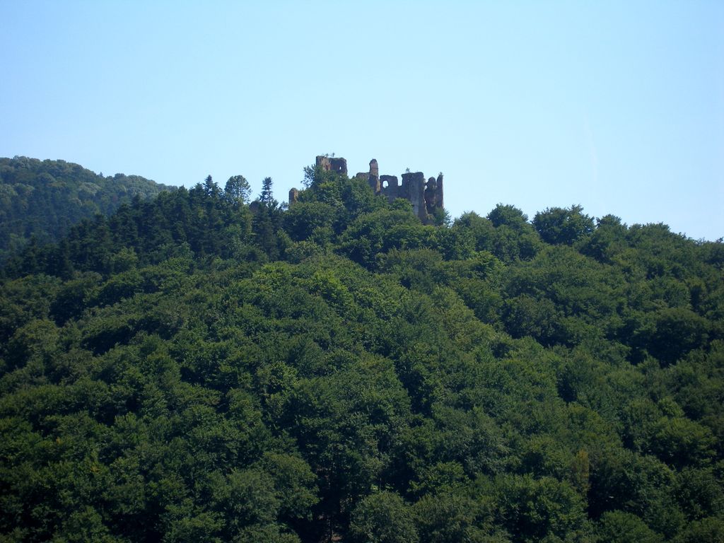 Photo №2 of Zborov