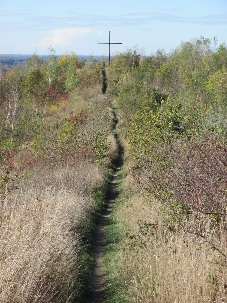 Photo №1 of Osthalde