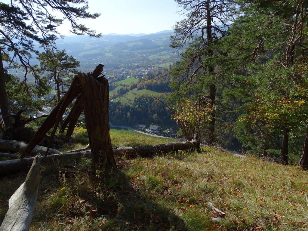 Photo №2 of Zigöllerkogel