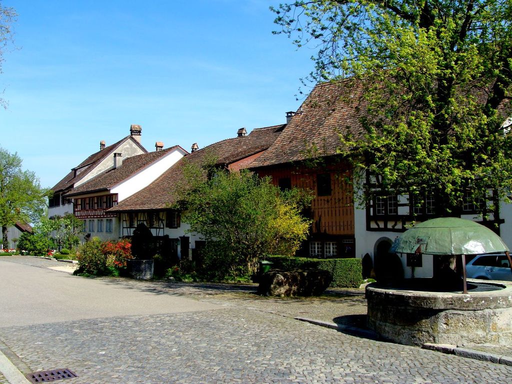 Photo №2 of Sandbuck
