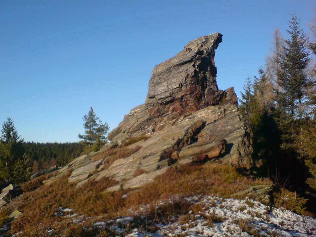 Photo №2 of Zobák
