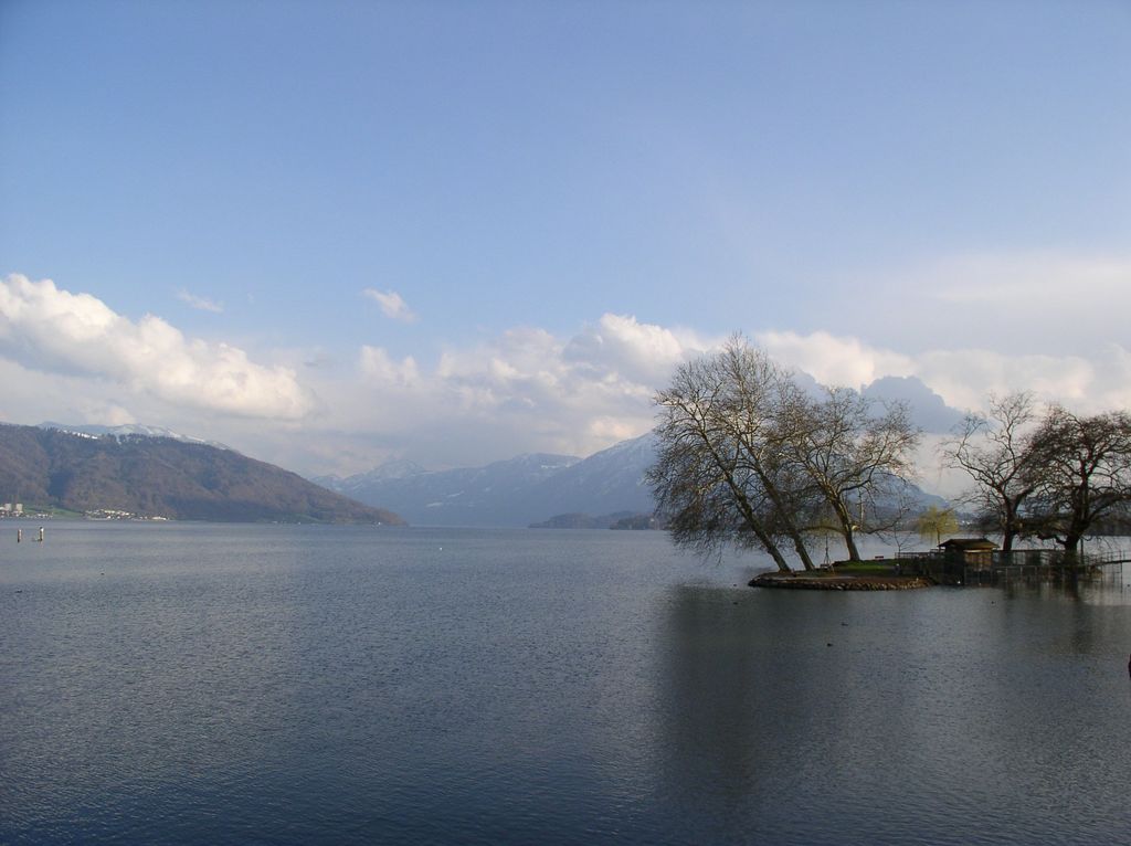 Photo №3 of Zugersee